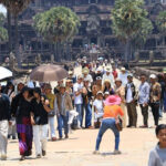 外国人観光客の到着数が第1四半期に45％減少、収益は半減か