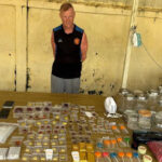 プノンペン　食用大麻製造業らイギリス人を含む19人を逮捕